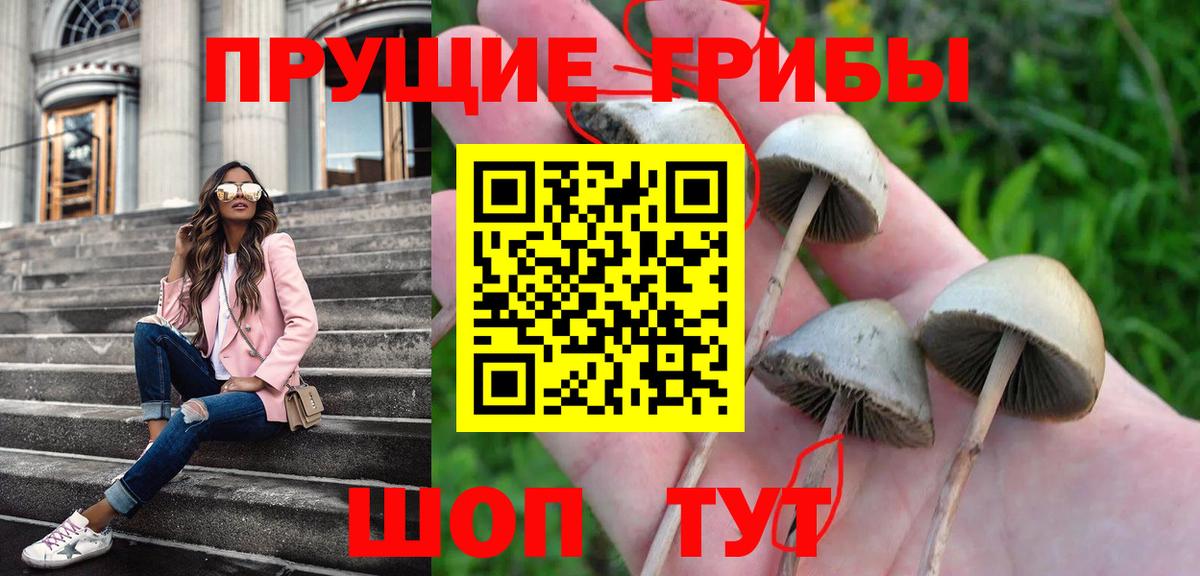 Галлюциногенные грибы GOLDEN TEACHER Скопин