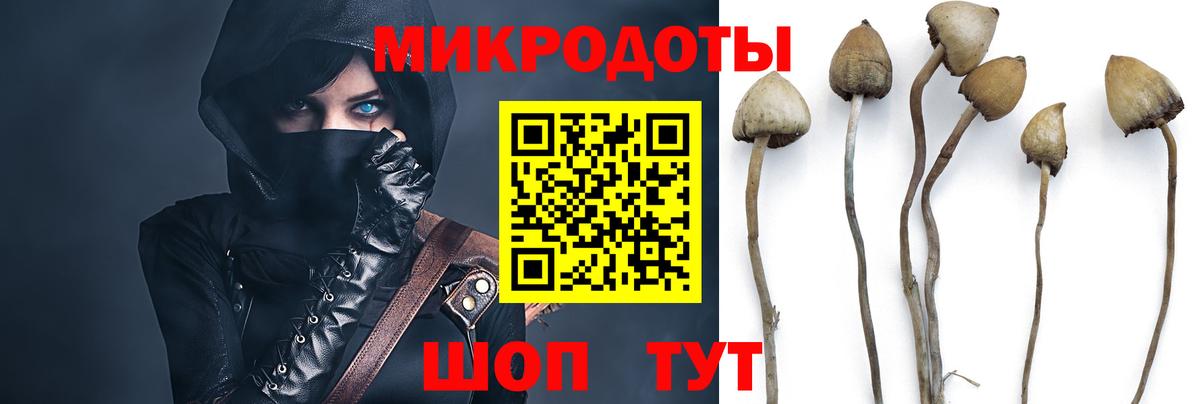 где найти наркотики  Вход с VPN  Скопин  Псилоцибиновые грибы ЛСД 
